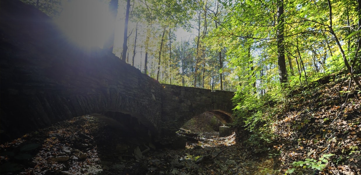 a large waterfall in a forest