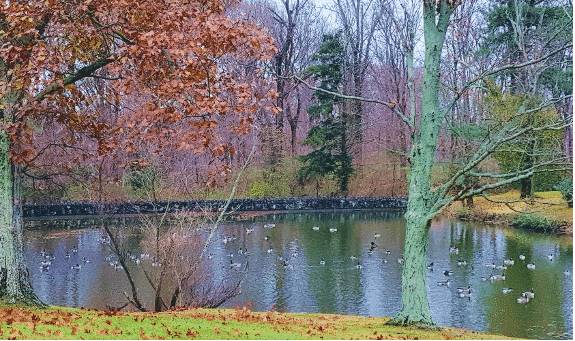 A Bridge Over A Body Of Water