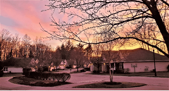 A Tree In Front Of A House