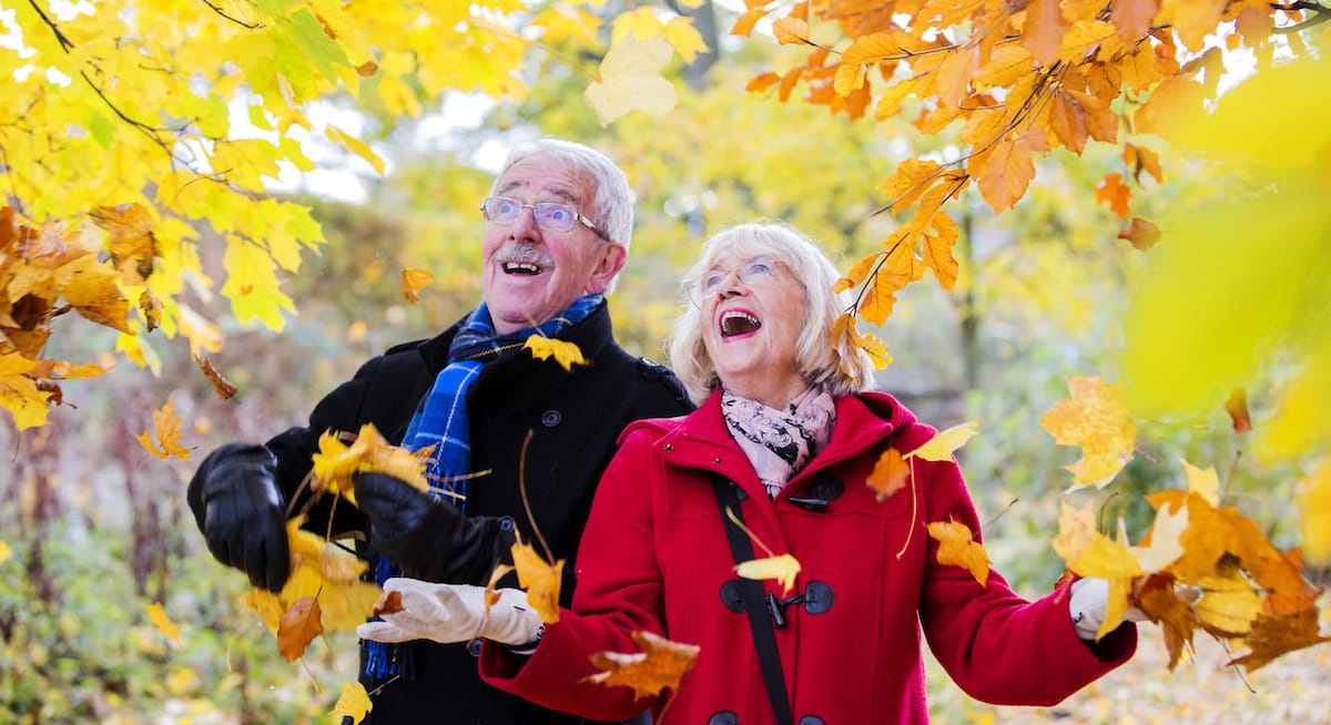 Learn the Basics of Bridge - A How-to Guide for Older Adults - StoneBridge at Winton Woods